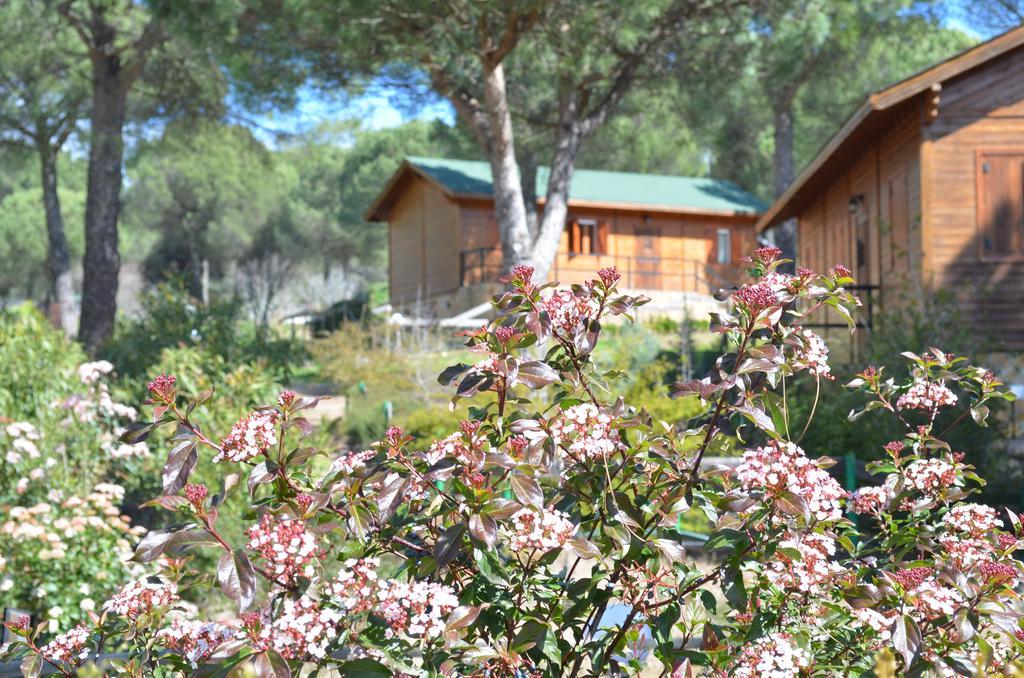 Apartamentos Paraje San Gines Andujar Bagian luar foto