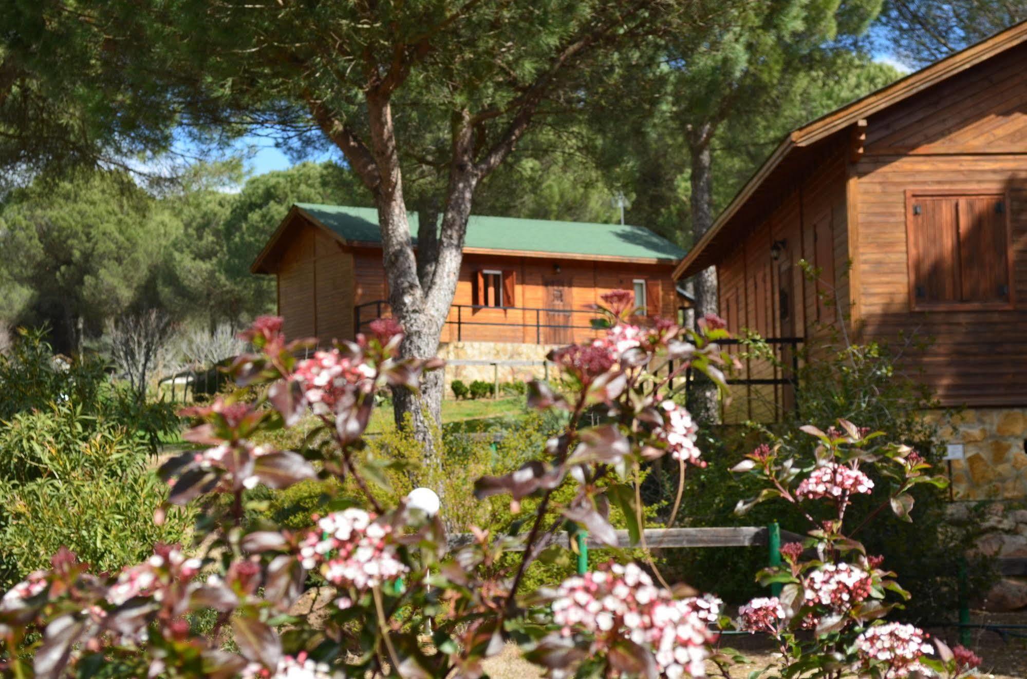 Apartamentos Paraje San Gines Andujar Bagian luar foto